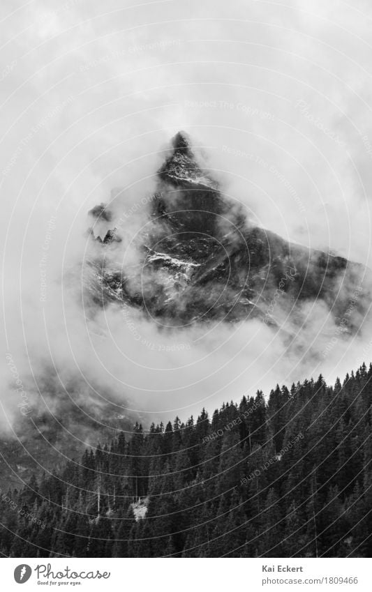 Gipfel in den Wolken Natur Landschaft Wetter Baum Alpen Berge u. Gebirge Schneebedeckte Gipfel bedrohlich dunkel kalt Spitze Feindseligkeit Abenteuer anstrengen