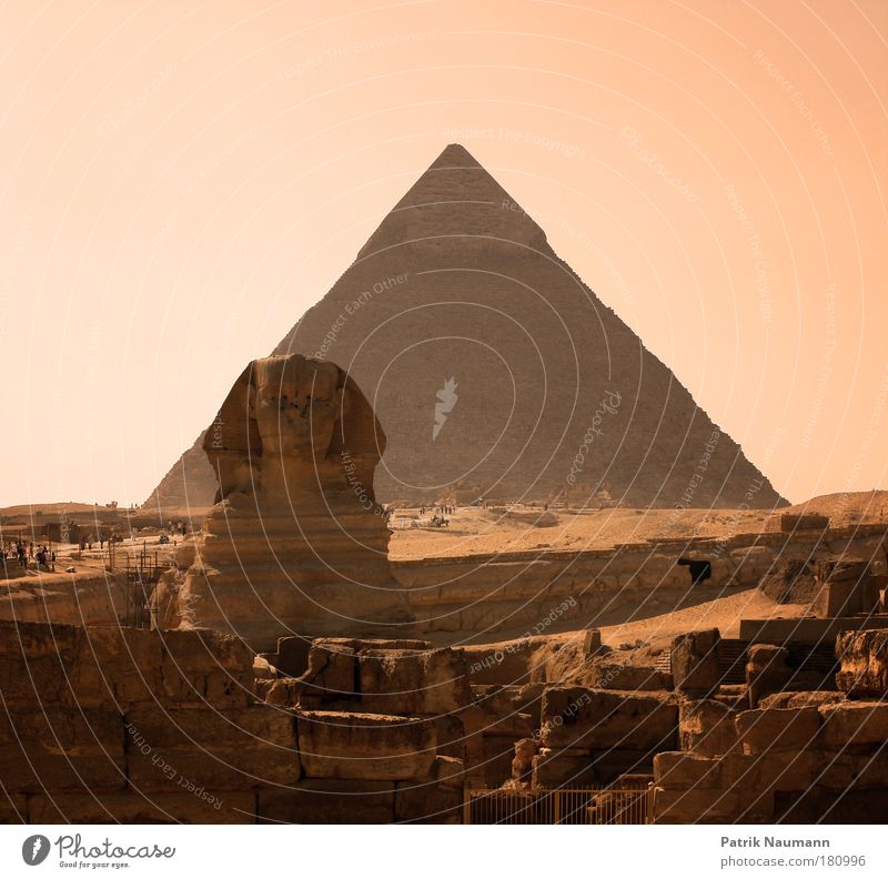 Die große Sphinx von Gizeh Gedeckte Farben Außenaufnahme Zentralperspektive Kunstwerk Skulptur Landschaft Erde Sand Wärme Dürre Wüste "Kairo Gizeh" Ägypten