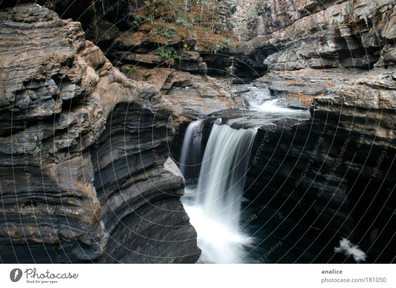 zwischen den Felsen Umwelt Natur Wasser Schlucht Wasserfall einfach natürlich braun weiß Erholung Frieden Gelassenheit Brasilien Goiás chapada dos veadeiros