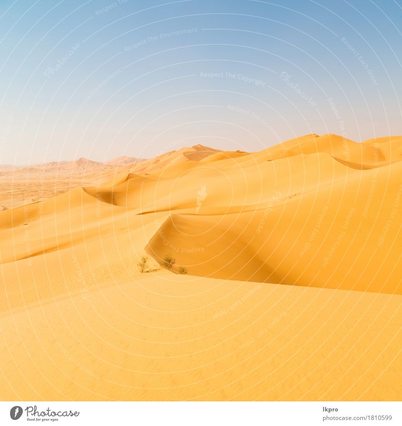Düne in Oman alte Wüste Rub al khali schön Ferien & Urlaub & Reisen Tourismus Abenteuer Safari Sommer Sonne Natur Landschaft Sand Himmel Horizont Park Hügel