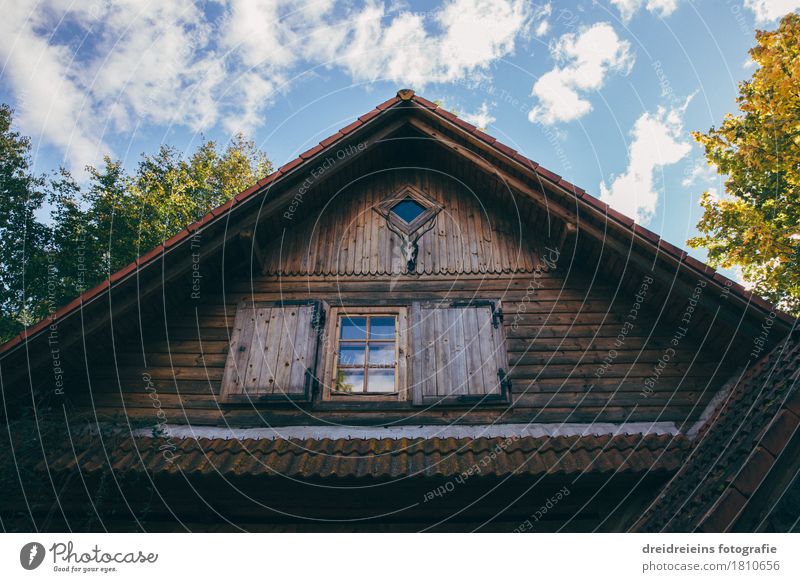 Jagdhütte im Wald Dorf Haus Einfamilienhaus Hütte Erholung wandern einzigartig Geborgenheit Einsamkeit Dachgiebel Holzhaus Himmel Jagdrevier
