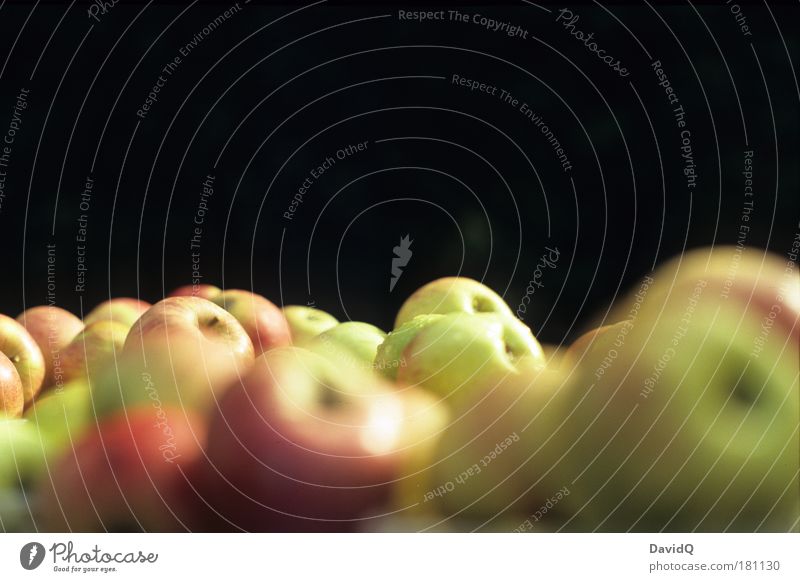 Äpfel Farbfoto Außenaufnahme Textfreiraum oben Hintergrund neutral Tag Schwache Tiefenschärfe Lebensmittel Frucht Apfel füttern genießen Gesundheit lecker nass