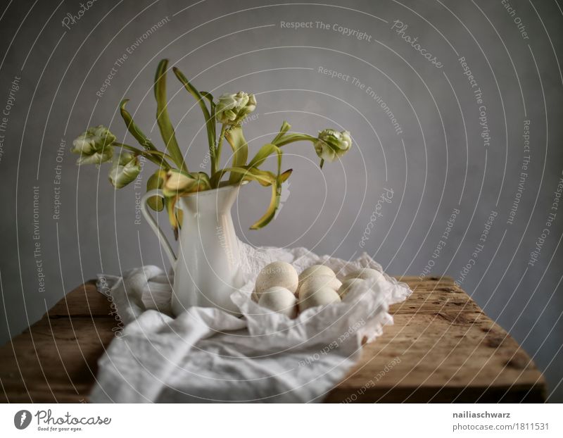 Stillleben mit Tulpen Ei Ernährung Pflanze Verpackung Gießkanne Blumenstrauß verblüht dunkel natürlich retro gelb grau Reinheit Kreativität eggs Vase Kannen