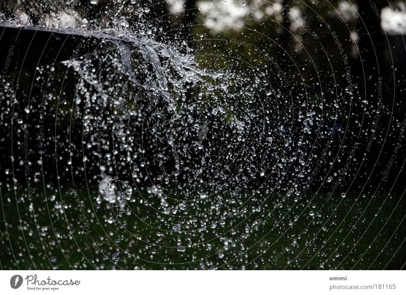 Sekundenbruchteiltropfenmeer Wasser Wassertropfen Tropfen nass wild Euphorie Leben Bewegung Lebensfreude Leichtigkeit Wandel & Veränderung Brunnen Springbrunnen