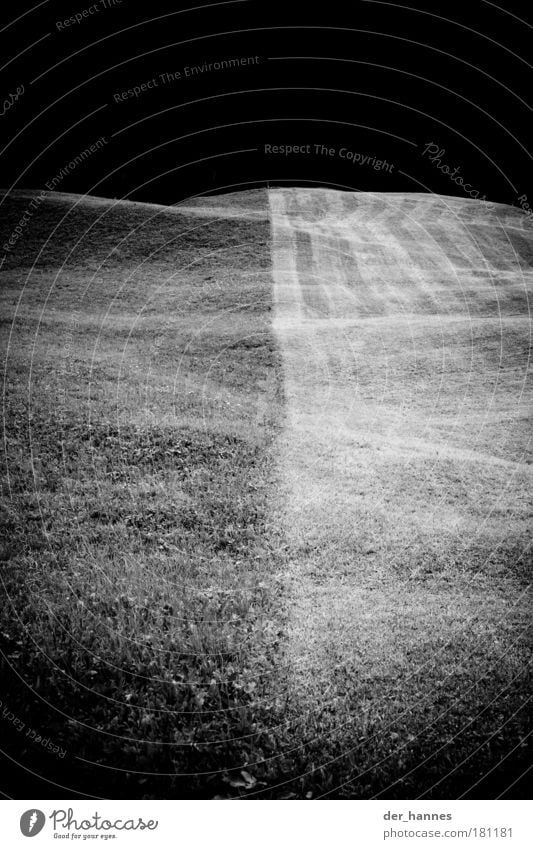 fußball Schwarzweißfoto Außenaufnahme Experiment abstrakt Muster Strukturen & Formen Menschenleer Textfreiraum oben Hintergrund neutral Tag Kontrast