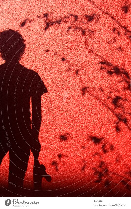 SCHATTEN-SKATER III Skateboarding Wand Schatten rot Blatt Ast Silhouette Hand Arme Sonnenlicht Lichtspiel Stil