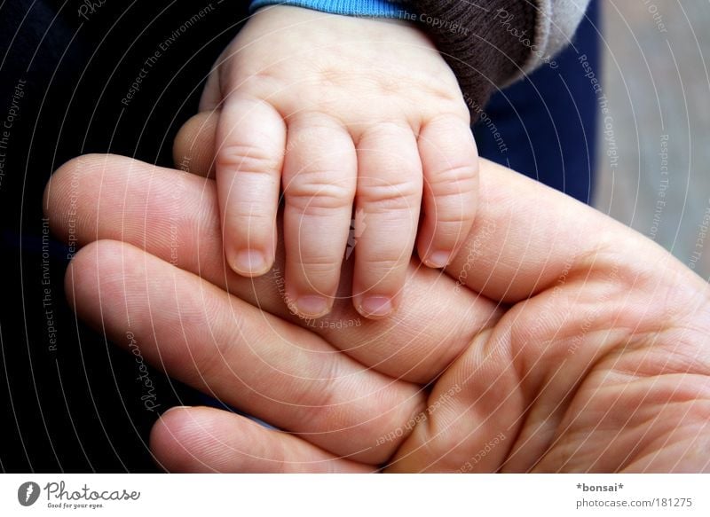 papa und ich Glück Mensch maskulin Baby Mann Erwachsene Vater Familie & Verwandtschaft Haut Hand Finger 2 0-12 Monate berühren festhalten groß klein nah Wärme