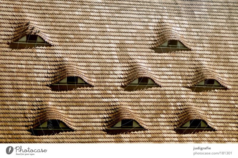 achtäugig Farbfoto Außenaufnahme Tag Haus Bauwerk Gebäude Architektur Fenster Dach Vogel Vergangenheit Wandel & Veränderung Taube Dachziegel Schindeldach