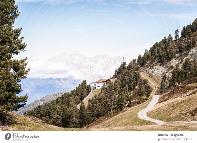 Road to the Top Umwelt Natur Landschaft Pflanze Tier Himmel Wolken Sonnenlicht Wetter Berge u. Gebirge wandern 2016 Sickline Österreich Ötztal Farbfoto