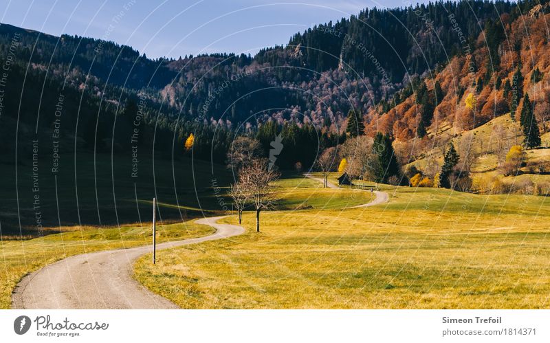 Schwarzwald im Herbst Freizeit & Hobby Tourismus Ausflug Freiheit Berge u. Gebirge wandern Natur Baum Gras Wiese Feld Wald Hügel Wege & Pfade Bewegung entdecken