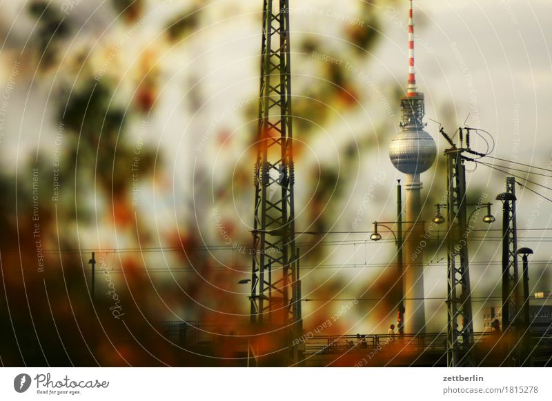Fernsehturm Berliner Fernsehturm Alexanderplatz Hauptstadt Deutschland Stadt Wahrzeichen verstecken Versteck Tiefenschärfe Textfreiraum Menschenleer Herbst