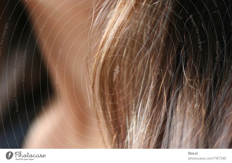 Trickschnitt schön Haare & Frisuren Mensch feminin Junge Frau Jugendliche Erwachsene Haut 1 brünett langhaarig glänzend natürlich weich braun Hals Haarsträhne