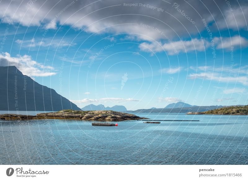 ich denke oft an... Natur Landschaft Urelemente Wasser Himmel Wolken Berge u. Gebirge Fjord fantastisch Norwegen Norwegenurlaub Insel badeinsel