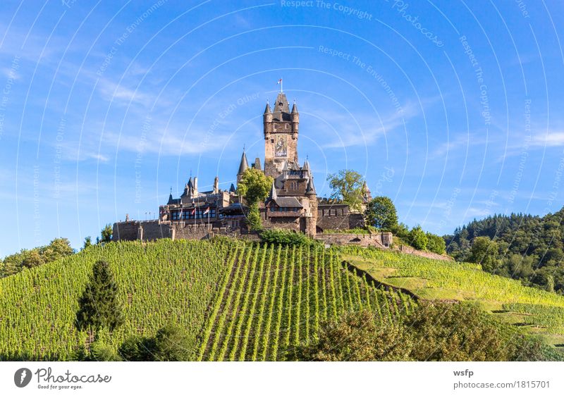 Reichsburg in Cochem an der Mosel Sommer Fluss Stadt Burg oder Schloss Idylle panorama reichsburg Moseltal mosel Weintrauben Eifel Rheinland-Pfalz Weinbau