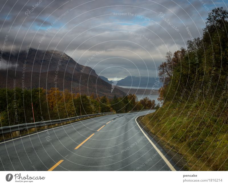 monoton | fahrn, fahrn, fahrn Natur Landschaft Urelemente Wasser Himmel Wolken Herbst Wald Berge u. Gebirge Fjord Straße rennen gebrauchen beobachten fahren