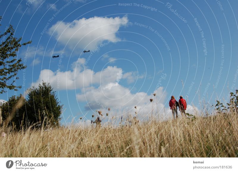 Flugschau Ausflug Natur Landschaft Pflanze Himmel Wolken Sommer Schönes Wetter Gras Sträucher Luftverkehr Flugzeug Propellerflugzeug beobachten fliegen Blick