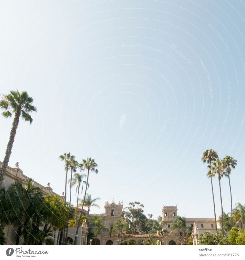 Rocky Balboa Park Farbfoto Gedeckte Farben Außenaufnahme Menschenleer Textfreiraum oben Tag Starke Tiefenschärfe Schönes Wetter Baum Palme San Diego Kalifornien