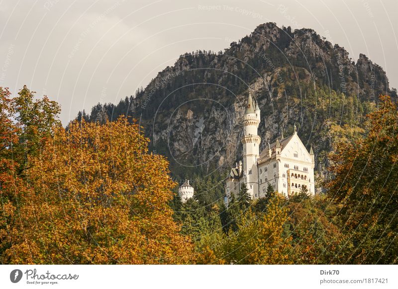 Neuschwanstein herbstlich I Ferien & Urlaub & Reisen Tourismus Sightseeing Berge u. Gebirge Kultur Landschaft Sonne Sonnenlicht Herbst Schönes Wetter Baum