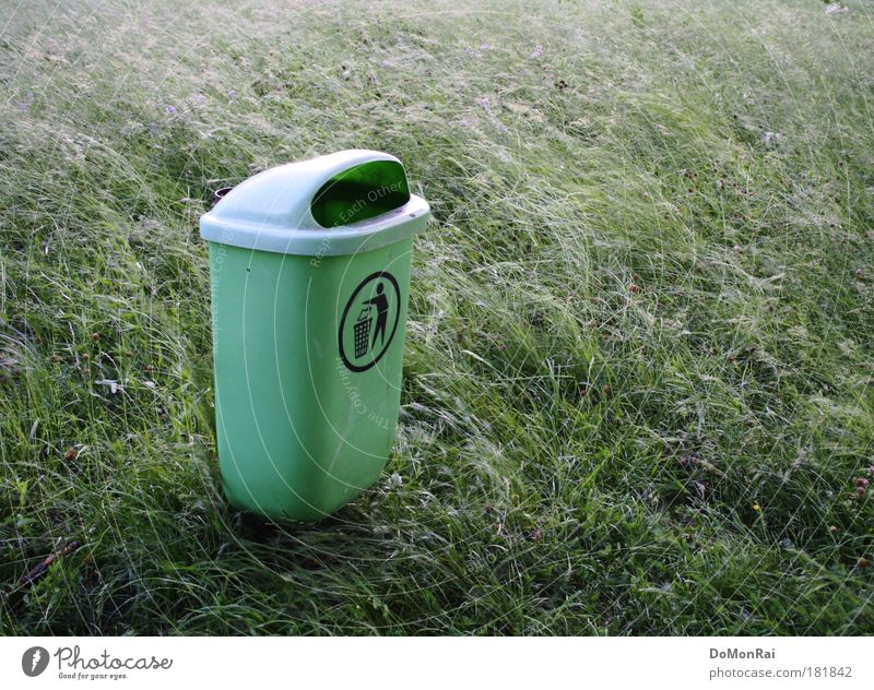 Unkraut Umwelt Natur Pflanze Wind Gras exotisch Wiese Müllbehälter Kunststoff Zeichen stehen fantastisch nachhaltig grün gewissenhaft Reinlichkeit Sauberkeit