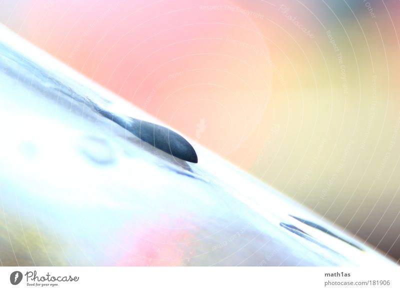 Wasserkreislauf im Traumland Farbfoto mehrfarbig Nahaufnahme Experiment abstrakt Menschenleer Textfreiraum rechts Textfreiraum oben Morgen Licht