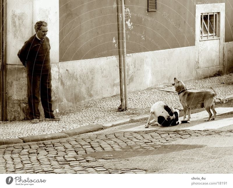 Lissaboner Straßenszene Portugal Mann Stadtteil Belém typische Straßenszene
