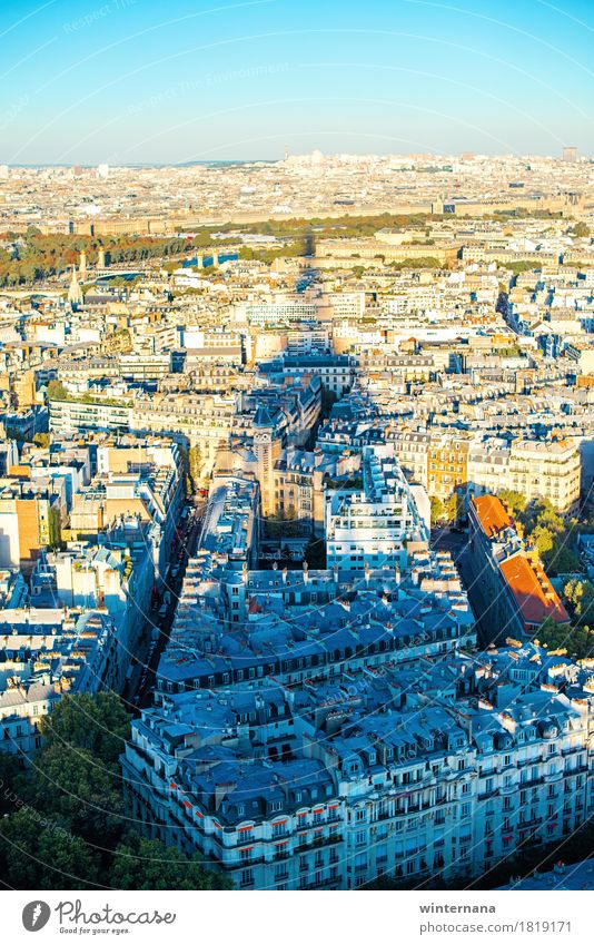 Über Paris Erde Himmel Horizont Sonne Schönes Wetter Hauptstadt Gebäude Architektur Tour d'Eiffel Begeisterung Euphorie Ehre Optimismus Erfolg Kraft Macht