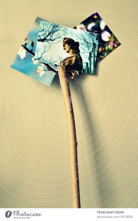 Stockfoto - echt jetzt? Freude Freizeit & Hobby Spielen Fotografieren Kunst Kunstwerk Skulptur Natur Himmel Frühling Herbst Schönes Wetter Baum Blume Blüte