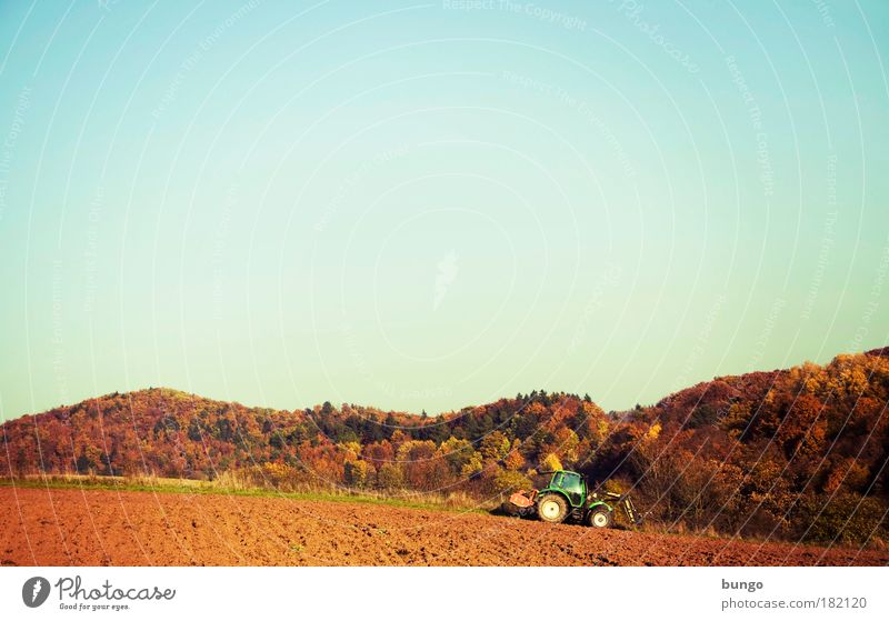 rusticus studiosior Farbfoto Außenaufnahme Tag Sonnenlicht Weitwinkel Landwirt Maschine Landwirtschaftliche Geräte Traktor Umwelt Natur Landschaft