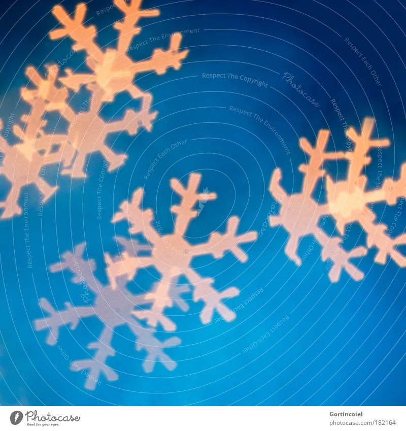 Lichtflocken Stil Design Winter Schnee Feste & Feiern Dekoration & Verzierung kalt schön blau Stimmung Weihnachten & Advent Schneeflocke besinnlich Flocke