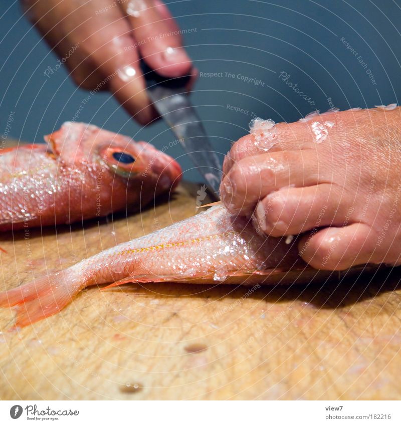 Zubereitung Farbfoto mehrfarbig Nahaufnahme Detailaufnahme Licht Schwache Tiefenschärfe Fisch Ernährung Besteck Messer Hand Finger Totes Tier gebrauchen machen