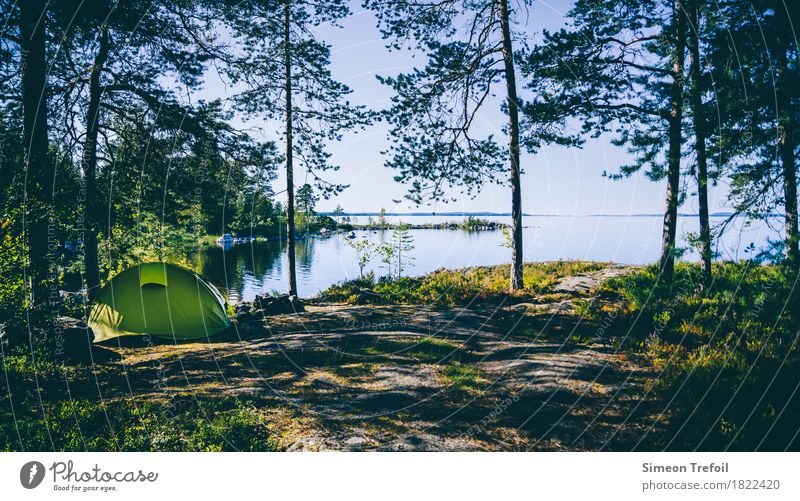 Zelt am Pielinen-See Ferien & Urlaub & Reisen Tourismus Abenteuer Ferne Freiheit Camping Sommer wandern Landschaft Moos Wald Seeufer Finnland entdecken