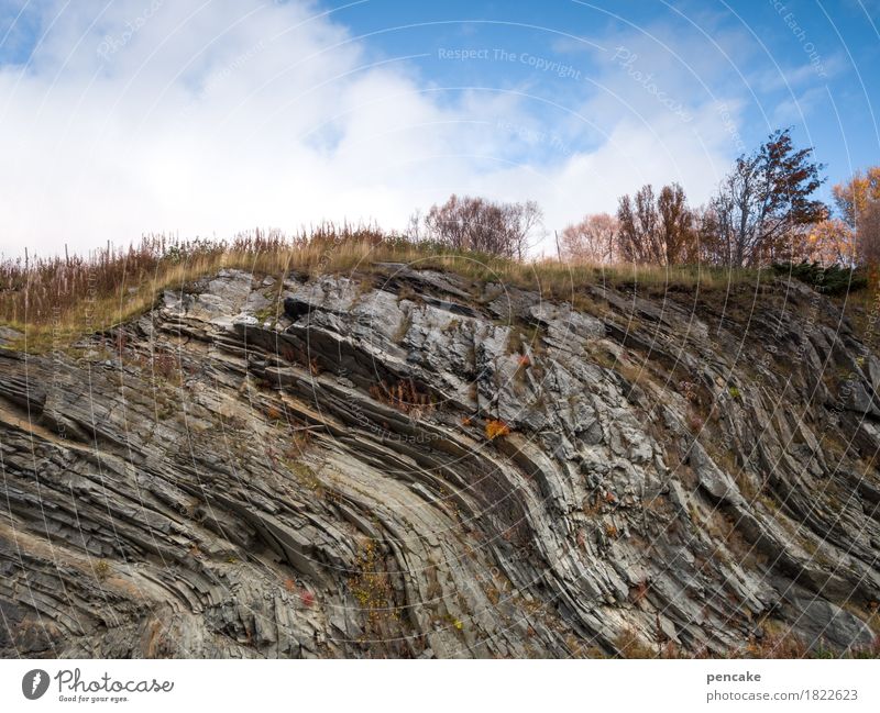 im meer der zeit Natur Landschaft Urelemente Herbst Felsen ästhetisch Norwegen Wellenform Steinzeit Geologie Strukturen & Formen Bewegung Urzeit Meer Zeit