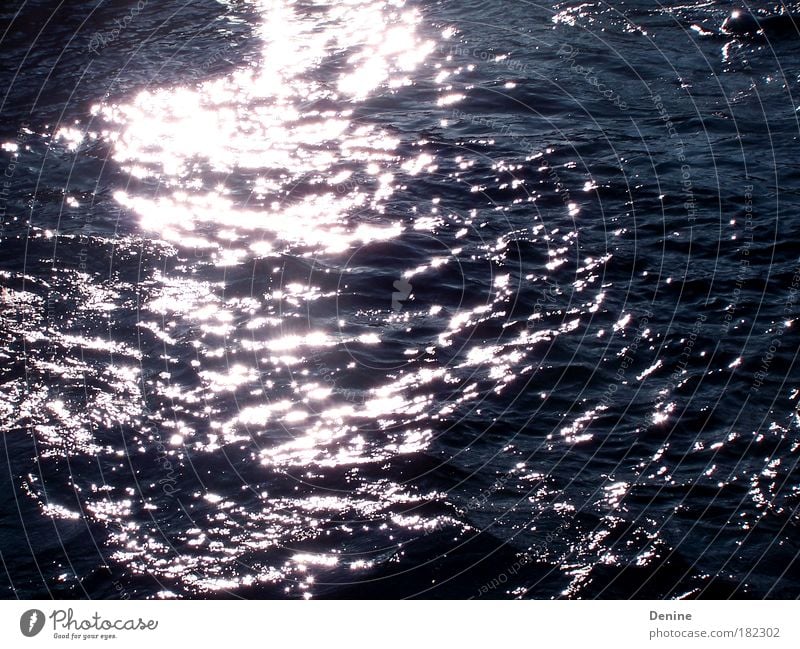 dark water with lightening Farbfoto Außenaufnahme Menschenleer Dämmerung Licht Reflexion & Spiegelung Sonnenlicht Natur Wasser Wellen Robben glänzend nass