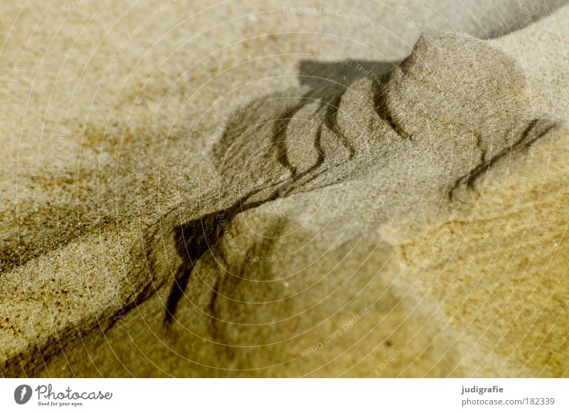Strandformen Farbfoto Außenaufnahme Tag Natur Landschaft Sand Felsen Berge u. Gebirge Küste Ostsee natürlich Wärme bizarr Umwelt Vergänglichkeit