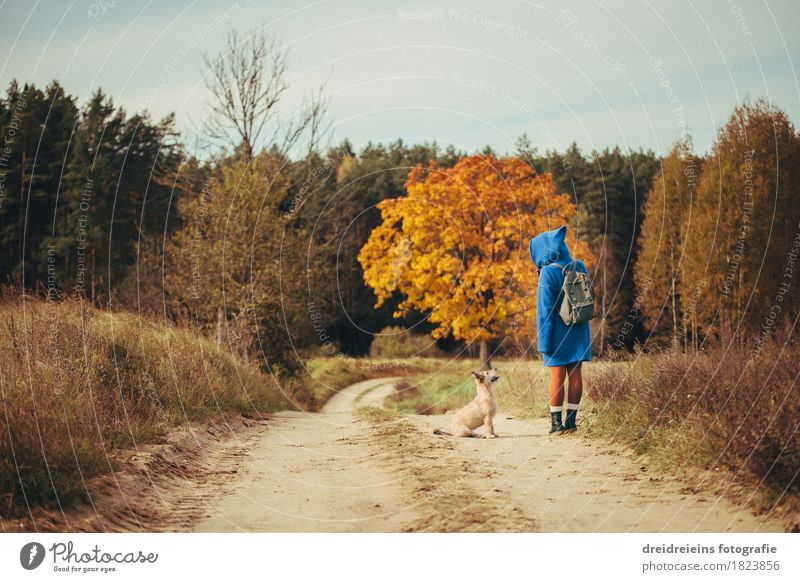 Herbstspaziergang - Freunde für's Leben - Indian Summer Feeling Ausflug Freiheit feminin Landschaft Tier Haustier Hund Kommunizieren stehen Zusammensein Glück