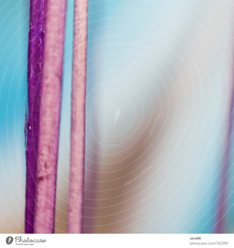 farben Farbfoto Nahaufnahme Detailaufnahme Makroaufnahme Unschärfe Schwache Tiefenschärfe Kunst Ausstellung Kunstwerk Gemälde ästhetisch blau braun mehrfarbig