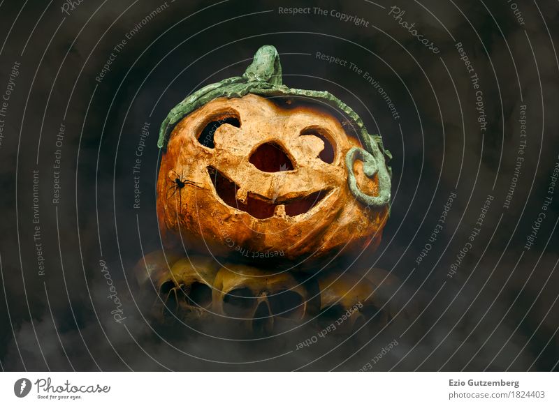 Halloween Kürbis mit Spinne auf Totenköpfe Design Mensch Kopf Aggression Ekel Fröhlichkeit gruselig gelb Gefühle Angst Entsetzen Todesangst Hintergrundbild