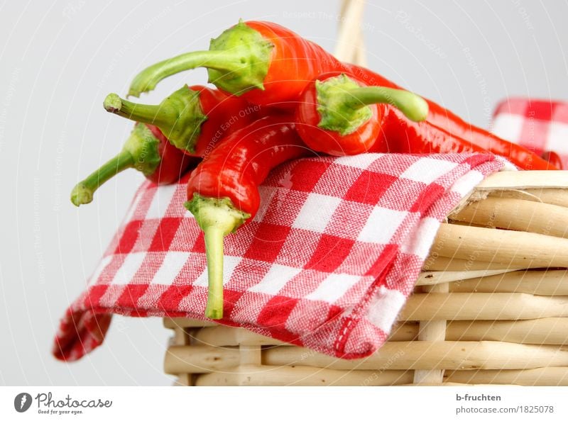 Scharfe Ernte Lebensmittel Gemüse Kräuter & Gewürze frisch Gesundheit natürlich rot Qualität Chili Chiliernte Scharfer Geschmack Schote Serviette kariert Würzig