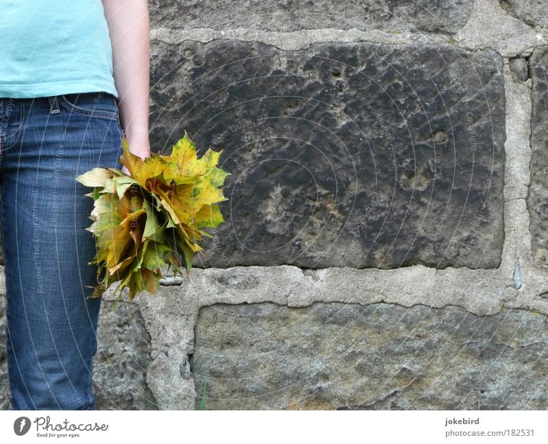 Herbststrauß Mensch feminin Blatt Mauer Wand T-Shirt Jeanshose Stein stehen trocken blau gelb Sandstein Herbstlaub Arme Beine Sammlung festhalten Symmetrie