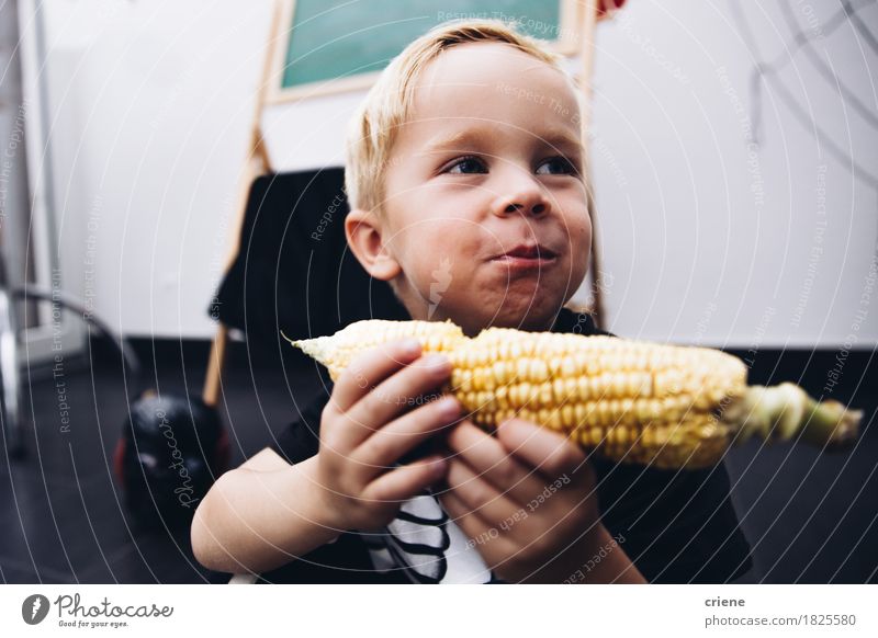 Kaukasisches Kleinkind, das Maiskolben isst Lebensmittel Gemüse Essen Lifestyle Freude Erntedankfest Halloween Kindergarten Mensch Junge Kindheit Mund 1 Herbst