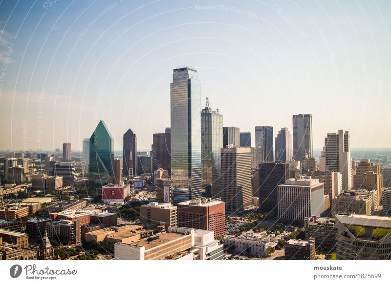 Dallas, Texas Skyline blau grau USA Hochhaus Aussichtsturm Bankgebäude Farbfoto Gedeckte Farben Außenaufnahme Menschenleer Textfreiraum unten Freisteller