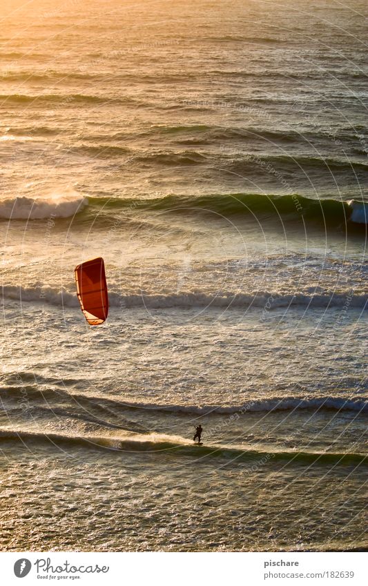 sunset-surf Kiting Wellen Meer Sonnenuntergang Surfen Segel Sommer Sport pischare Wind Wärme Ferien & Urlaub & Reisen Vogelperspektive Portugal Lenkdrachen