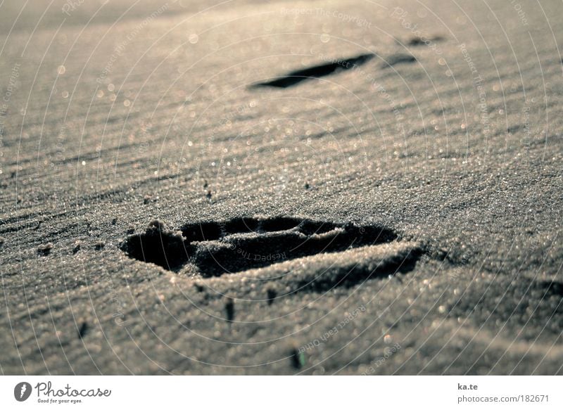 Strandschritt Wohlgefühl Erholung Fuß Sand Sonnenlicht Schönes Wetter Fußspur gehen frei braun ruhig Bewegung Ferne Barfuß Gedeckte Farben Außenaufnahme