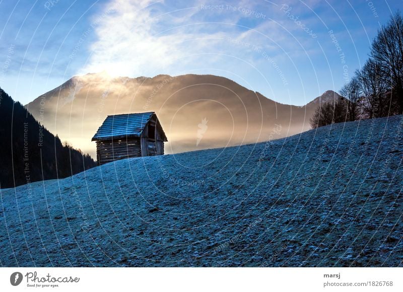 kalt-warm Natur Herbst Schönes Wetter Nebel Eis Frost Wiese Hütte Heustadel außergewöhnlich dunkel kaltwarm Morgenfrost Farbfoto Gedeckte Farben Außenaufnahme
