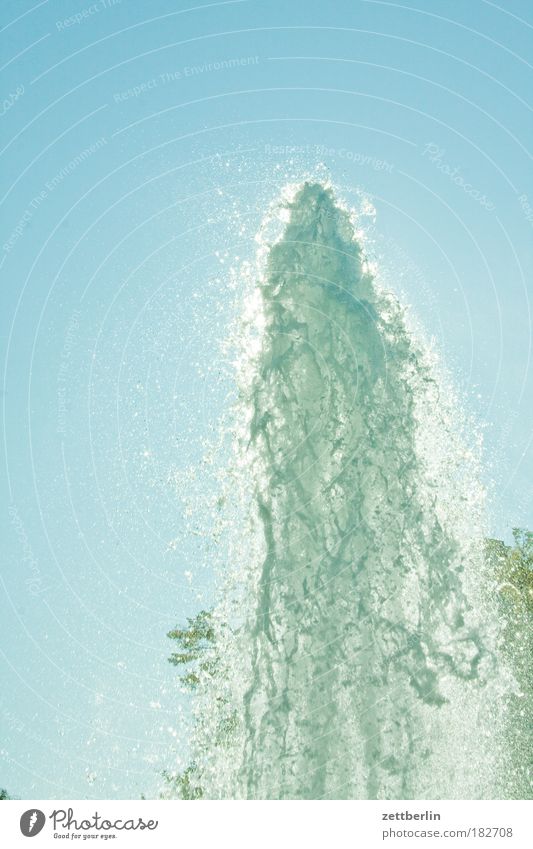 Spring! Wasser Springbrunnen Wasserspeier Wasserstand Wassershow Wasserfontäne sprudelnd Sauerstoff Wasserstoff nass Spitze Gischt Ausbruch Erfrischung Sommer
