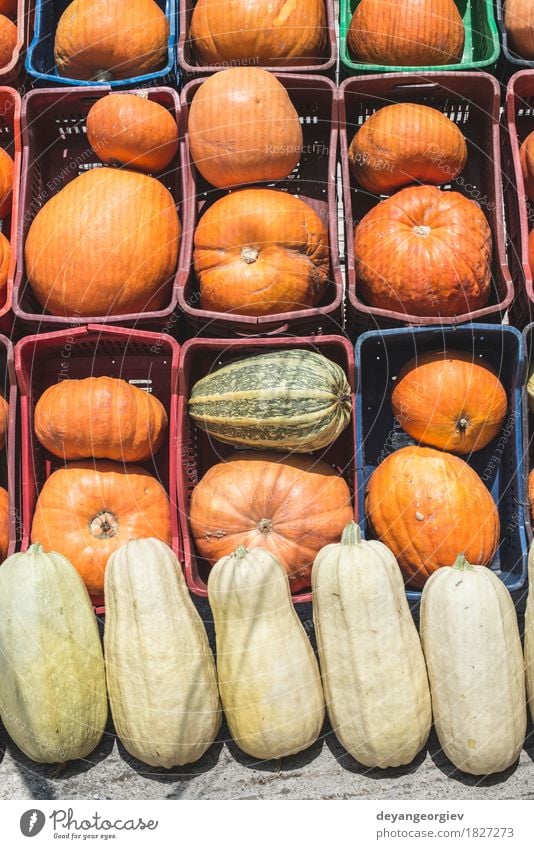 Kürbisse auf dem Markt Gemüse Dekoration & Verzierung Erntedankfest Halloween Herbst frisch fallen Hintergrund Lebensmittel Bauernhof orange Fleck Ackerbau