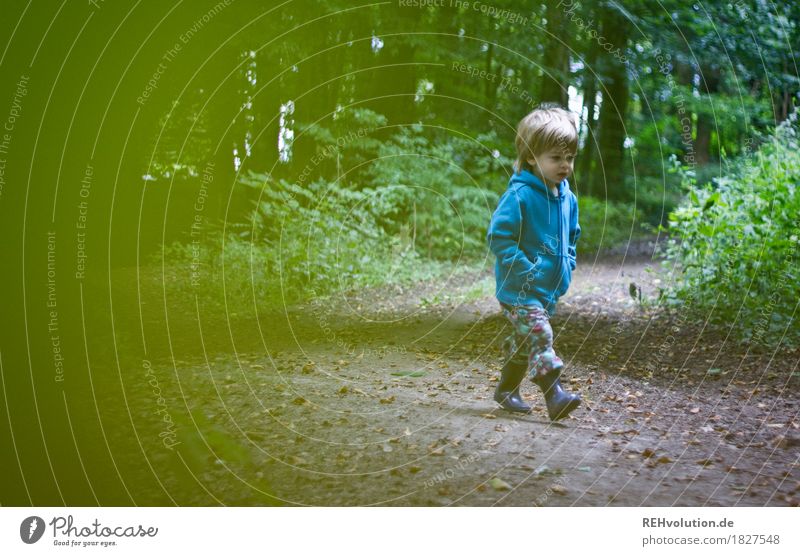 Unterwegs im Wald Mensch Kind Kleinkind Junge Kindheit 1 1-3 Jahre Umwelt Natur Baum Wege & Pfade Pullover Gummistiefel rennen Bewegung entdecken gehen Glück