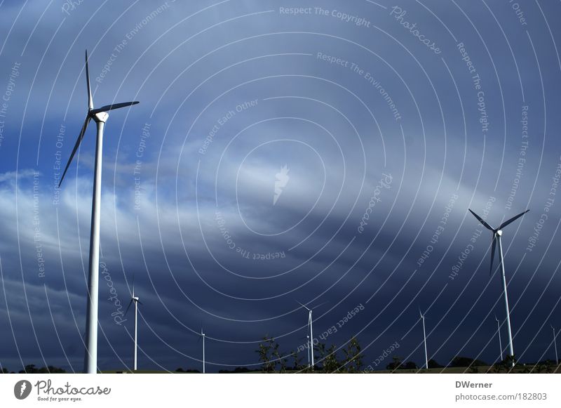 sauberer Strom aus Brandenburg Natur Landschaft Himmel Wolken Klima Klimawandel Wetter Wind Sturm Baum drehen fliegen blau Energie entdecken Erde Umwelt