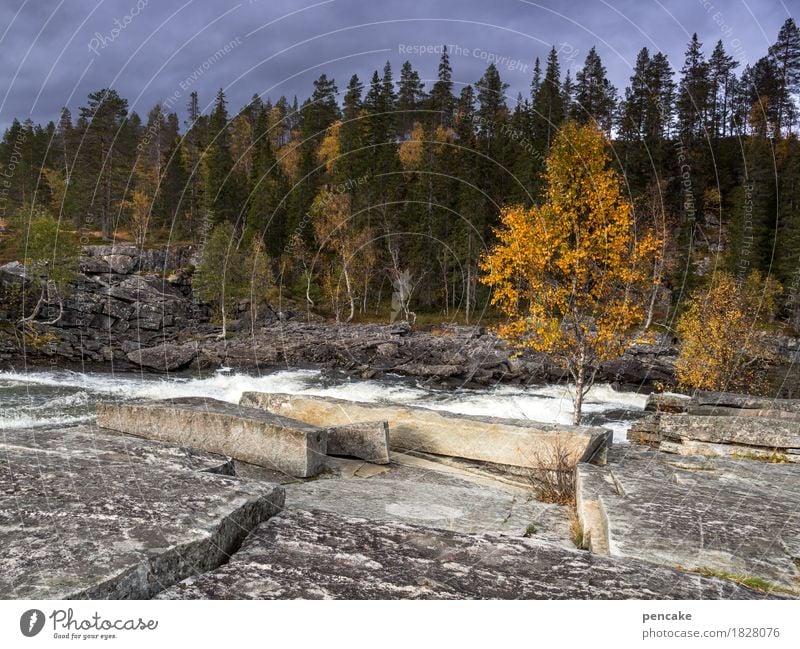 monoton | weißes rauschen Natur Landschaft Gewitterwolken Herbst Wald Felsen Fluss Wasserfall Bewegung Rauschen Granit Herbstfärbung Birke Norwegen