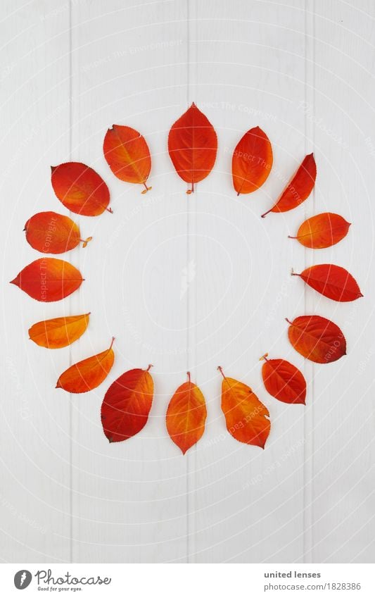AK# Der Herbst und seine Blätter I Kunst Kunstwerk Symmetrie Jahreszeiten herbstlich Herbstlaub Herbstfärbung Herbstbeginn Blatt Design gestalten rot viele 16